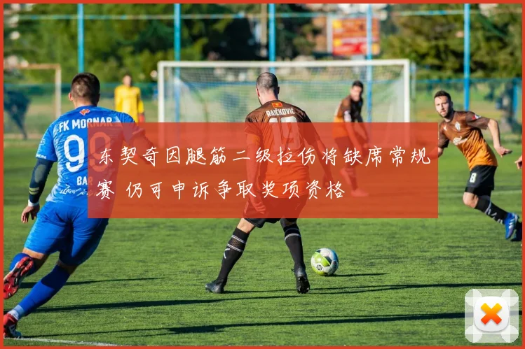 东契奇因腿筋二级拉伤将缺席常规赛 仍可申诉争取奖项资格