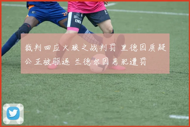 裁判回应火狼之战判罚 里德因质疑公正被驱逐 兰德尔因恶犯遭罚
