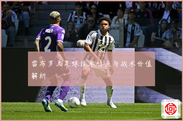 雷布罗夫足球技术特点与战术价值解析