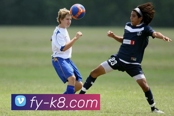 凯发体育赔率解析与投注策略详解，助你提升博彩盈利机会